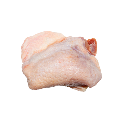 Drumstick