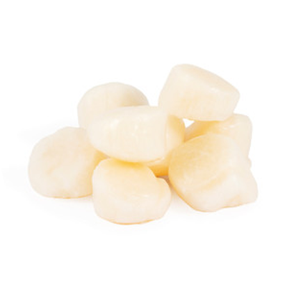 Scallops icon