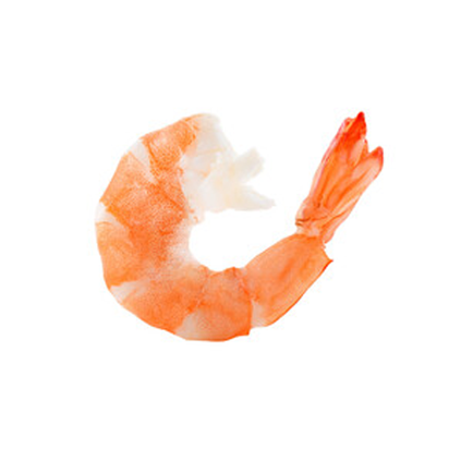Shrimp icon