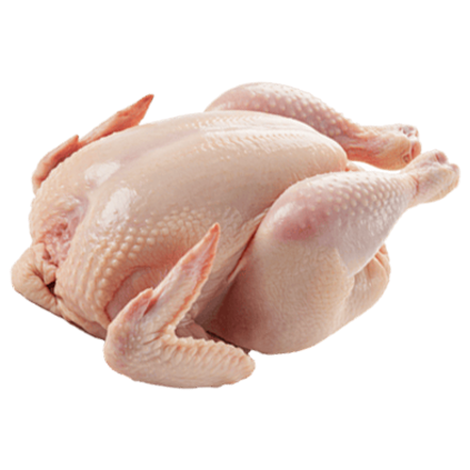 Whole Chicken icon